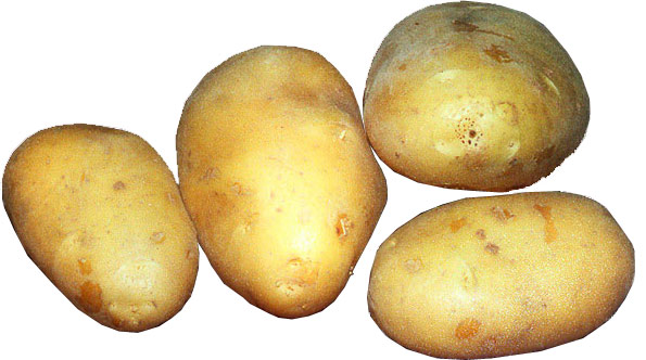 картофелехранилище